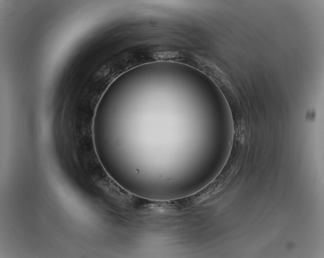 X0000097470763200802221235
