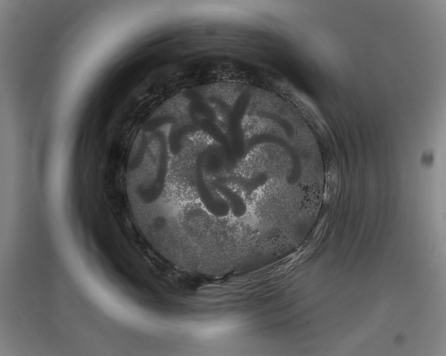 X0000097470765200802221236