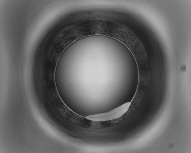 X0000097470766200802221236