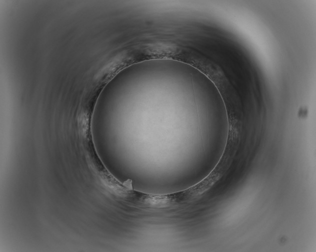 X0000097470767200802221236