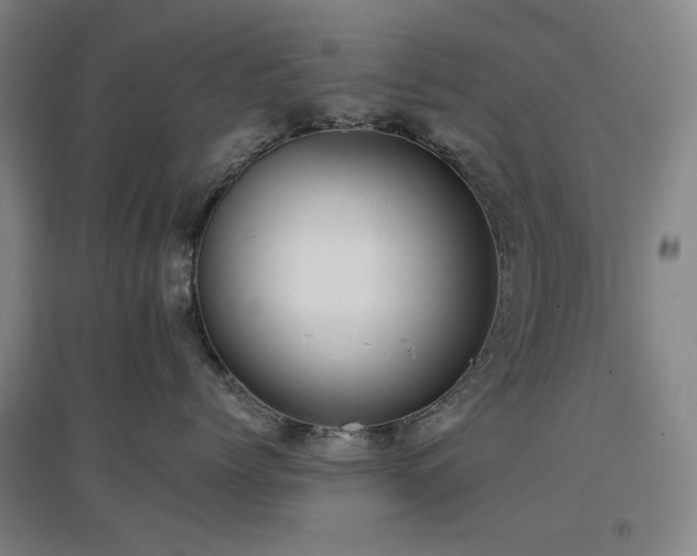 X0000097470768200802221236