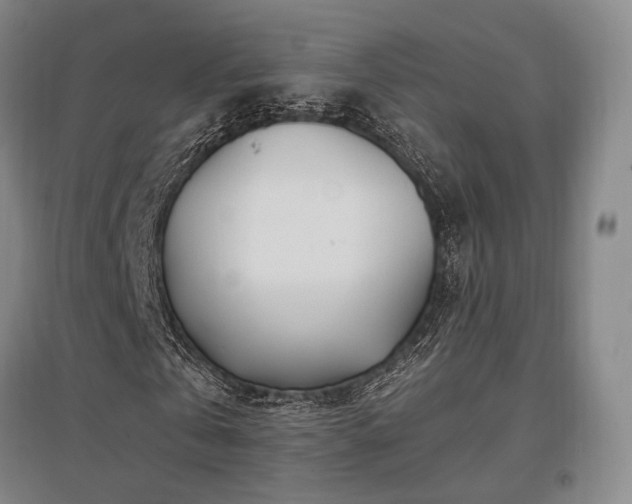 X0000097470769200802221235