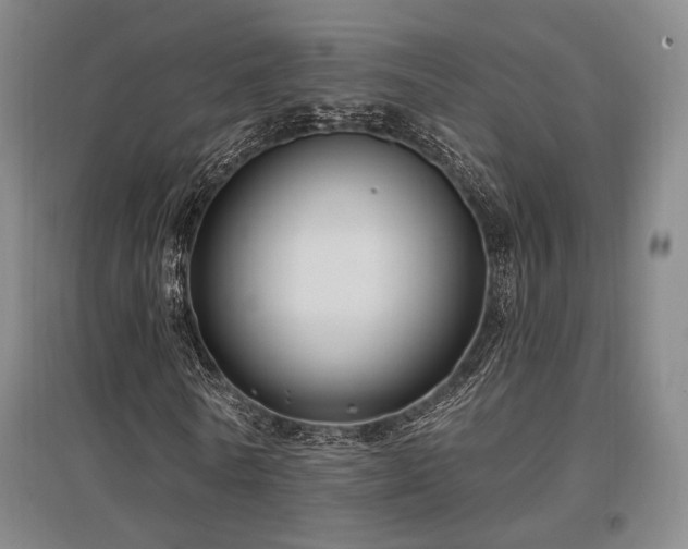 X0000097470770200802221235