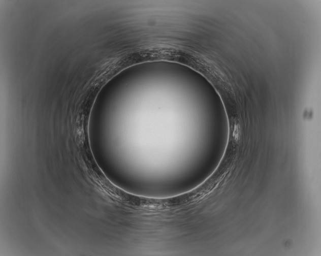 X0000097470771200802221235