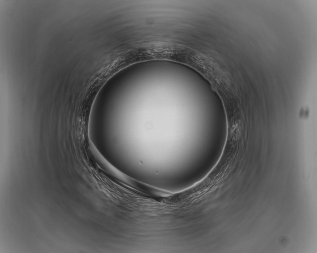 X0000097470772200802221235