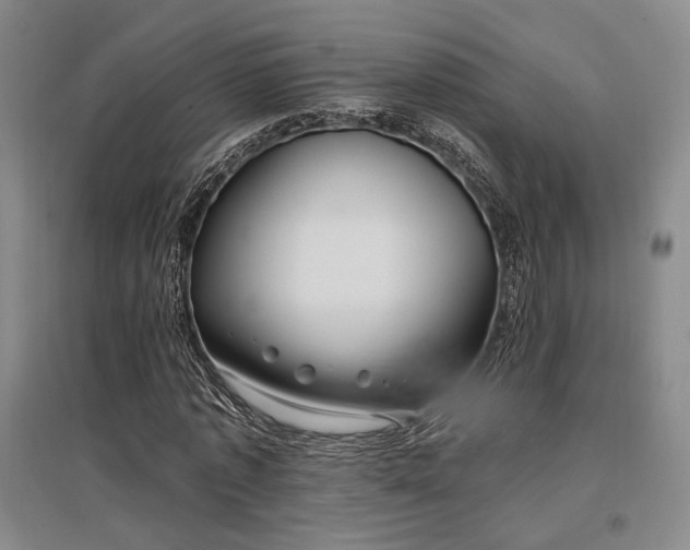 X0000097470773200802221235