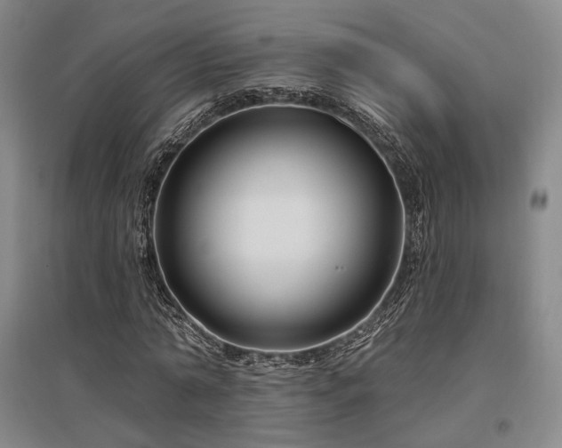 X0000097470774200802221235