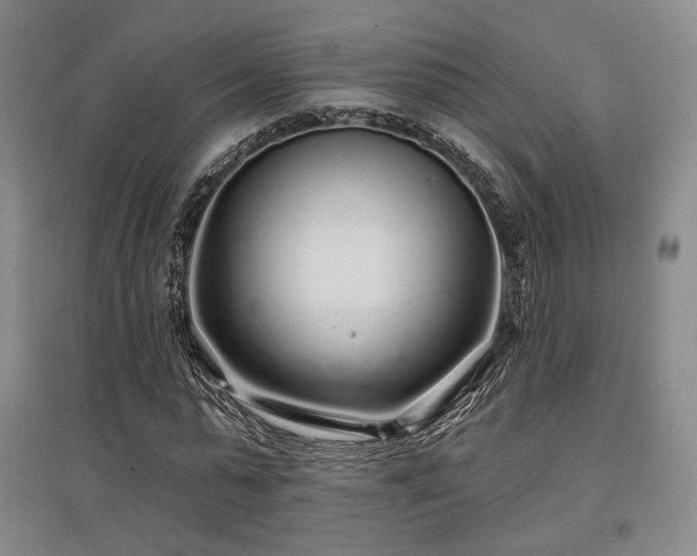 X0000097470775200802221235