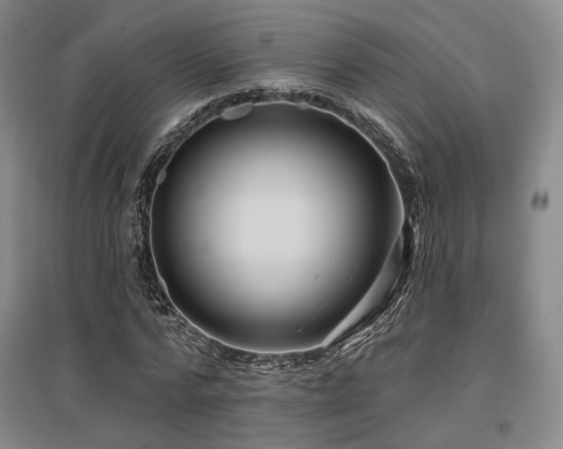 X0000097470776200802221235