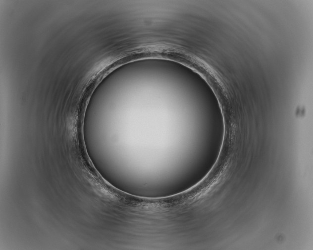 X0000097470778200802221235