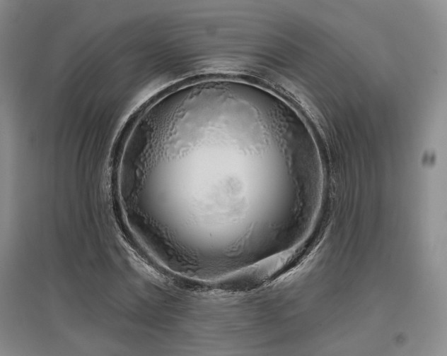 X0000097470779200802221235