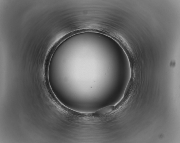 X0000097470780200802221235