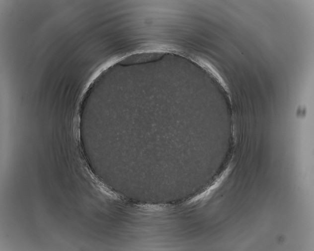 X0000097470781200802221235