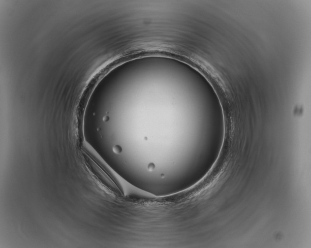 X0000097470782200802221235