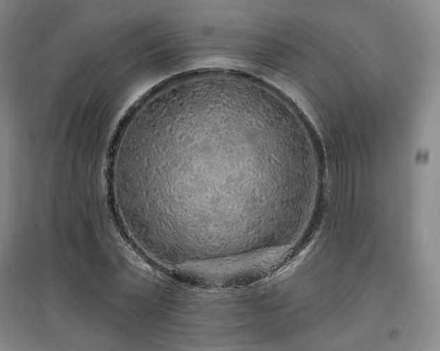 X0000097470783200802221235