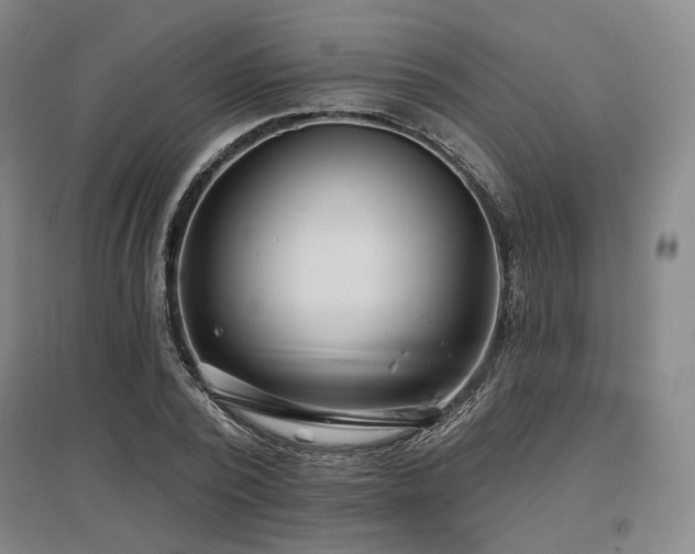 X0000097470784200802221235
