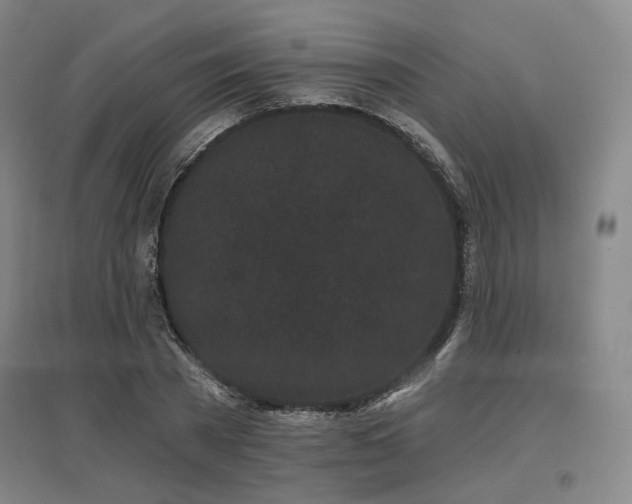 X0000097470785200802221235