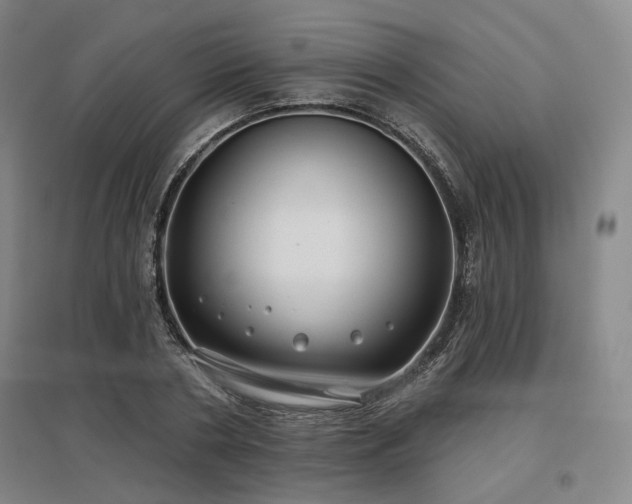 X0000097470786200802221235
