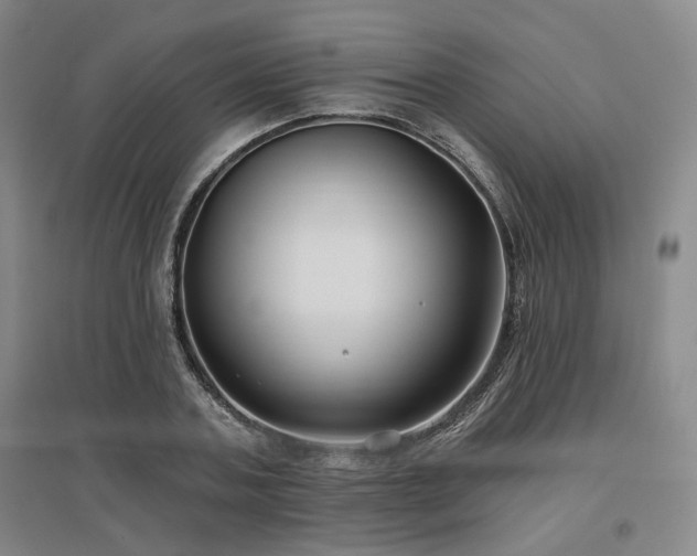 X0000097470787200802221235