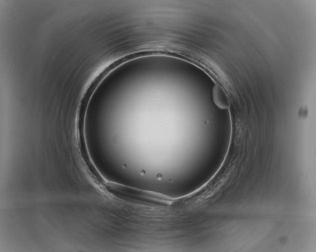 X0000097470788200802221235