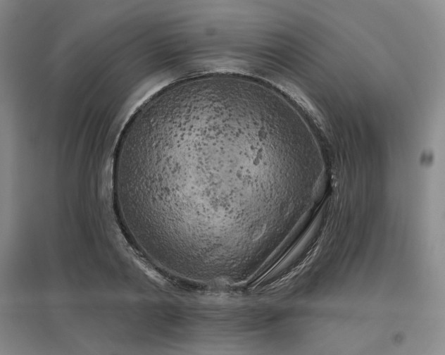 X0000097470790200802221235