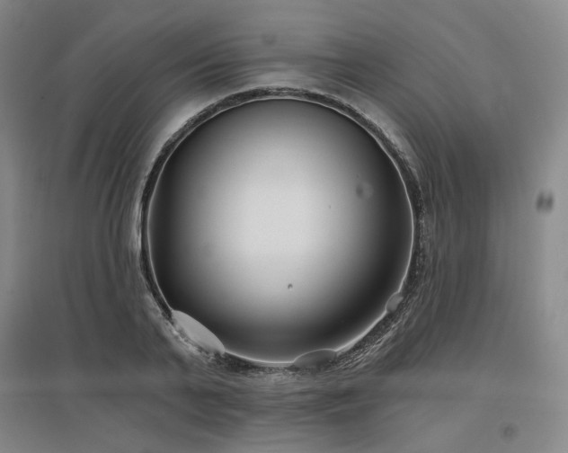 X0000097470791200802221235