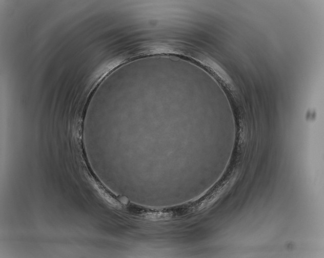 X0000097470793200802221235