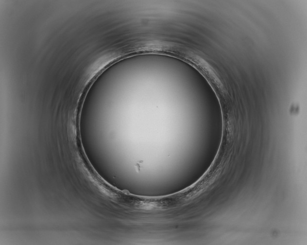 X0000097470794200802221235
