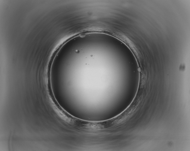 X0000097470795200802221235
