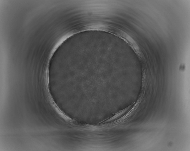 X0000097470796200802221235