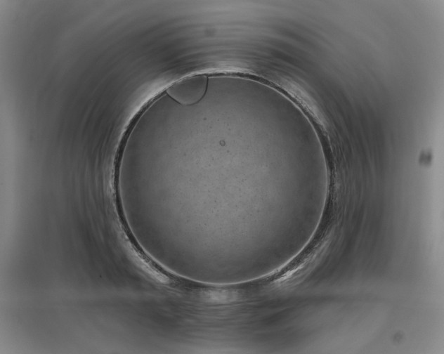 X0000097470797200802221235