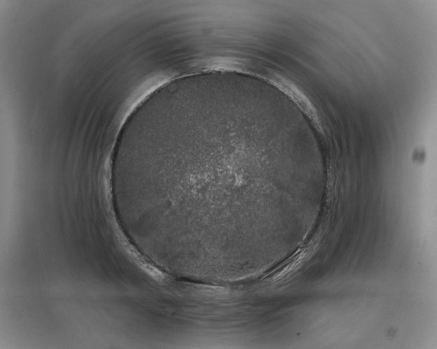 X0000097470798200802221234