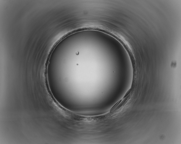 X0000097470799200802221234