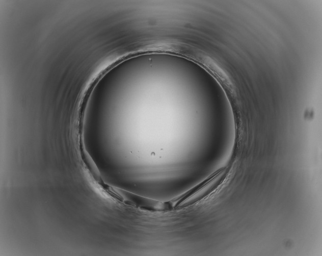 X0000097470800200802221234