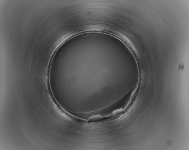 X0000097470802200802221234