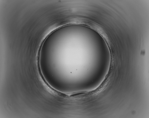 X0000097470803200802221234