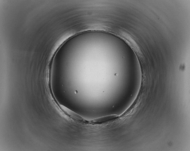 X0000097470804200802221234