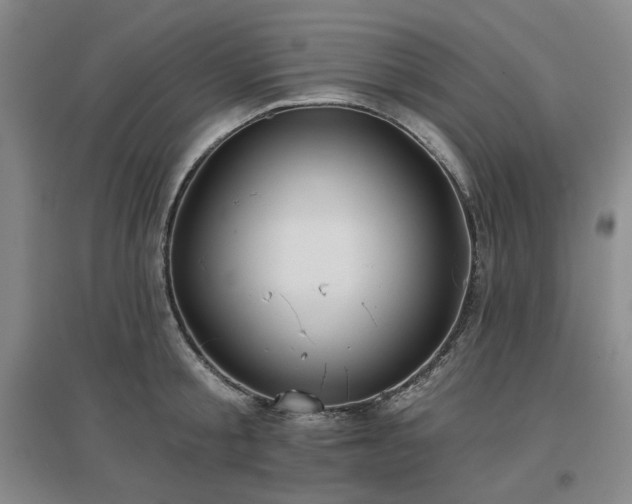 X0000097470805200802221234