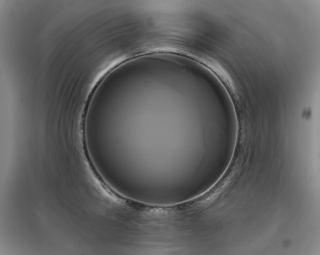 X0000097470806200802221234