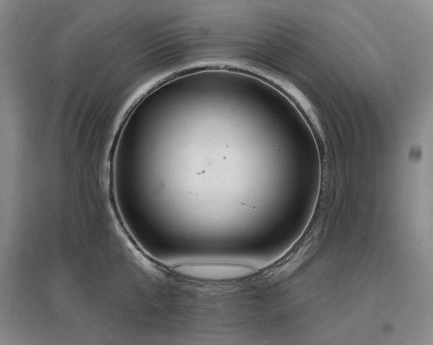 X0000097470807200802221234