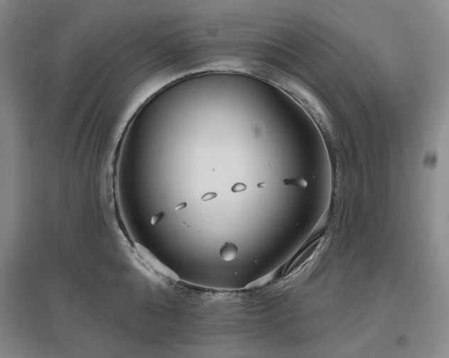 X0000097470808200802221234