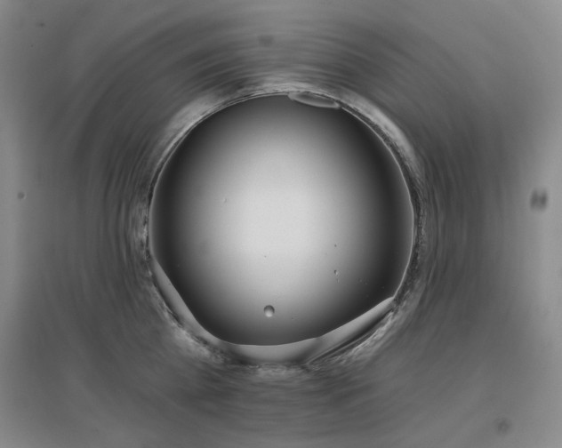 X0000097470809200802221234