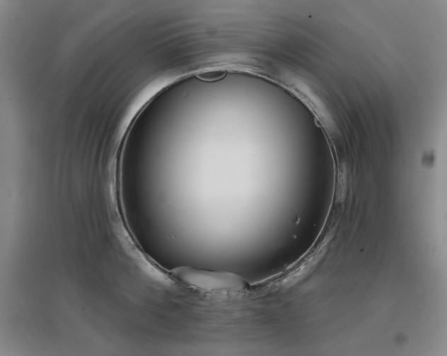 X0000097470812200802221234