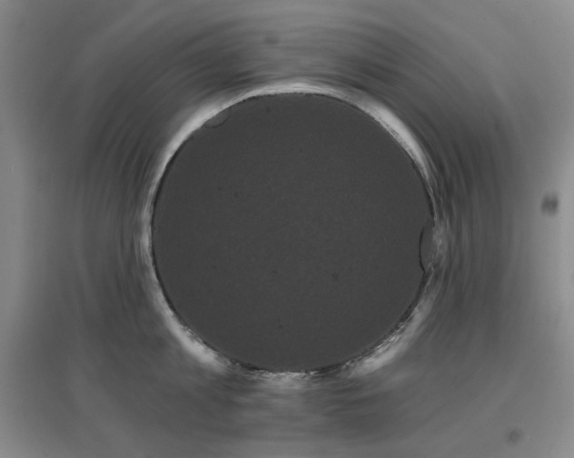 X0000097470813200802221234