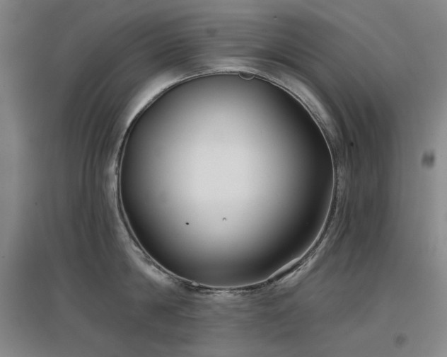 X0000097470814200802221234