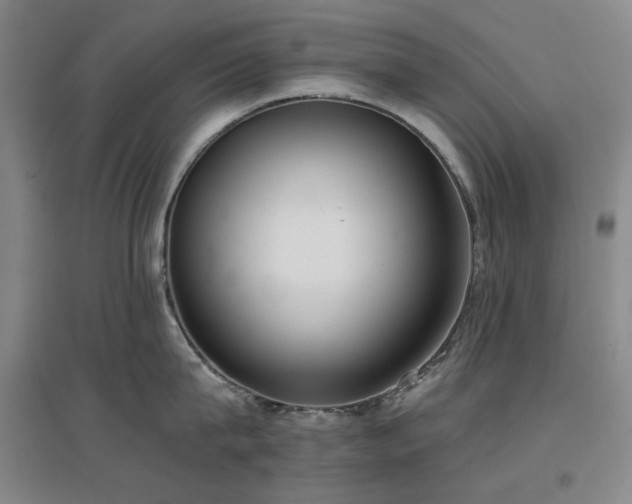 X0000097470815200802221234