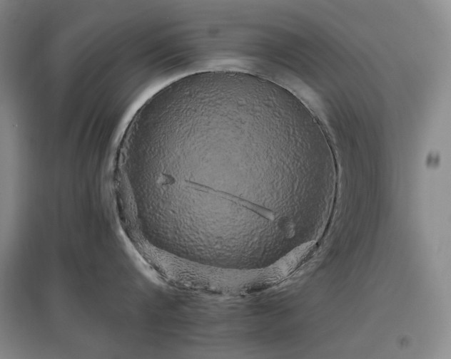 X0000097470816200802221234