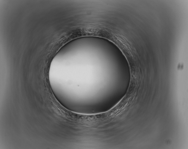X0000097470817200802221234