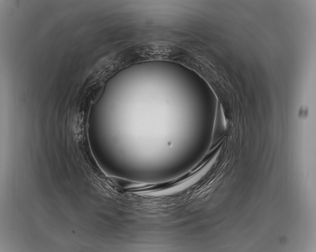 X0000097470818200802221234