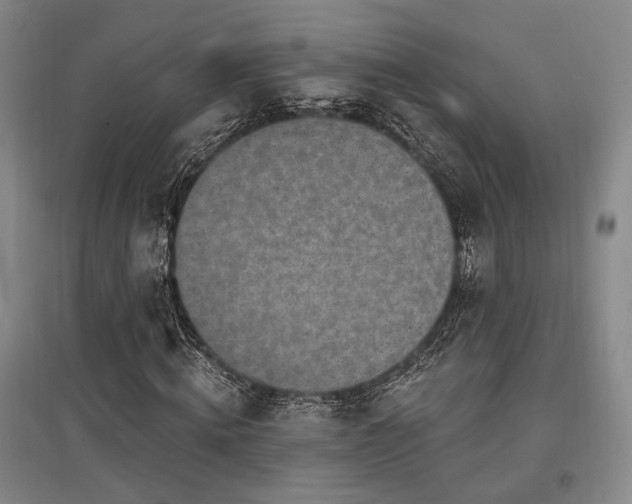 X0000097470820200802221234
